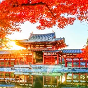 奈良縣 - 【奈良宇治一日遊】平等院・源氏物語博物館・宇治天然溫泉源氏之湯 ・奈良公園・東大寺・春日大社 | 4-9人小團(可選大阪或京都出發)